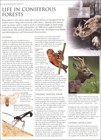 Animal: The Definitive Visual Guide to the World's Wildlife - Image 2