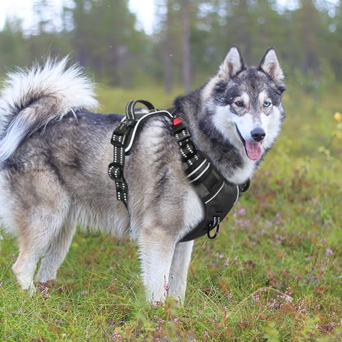 HEELE Hundegeschirr, Brustgeschirre für Hunde, Laufgeschirre Hund mit abschließbarem Schnappverschluss, einstellbare reflektierende Hundegeschirre, Offen am Hals, Anti Zug Dog Harness, Schwarz, L