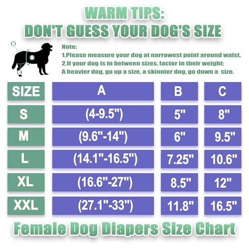 Image of Wegreeco Washable Reusable Premium Dog Diapers, Extra Large, Bright Color, for Female Dog, Pack of 3,Small Dog Puppy & Doggy Diapers Female,Period Panties in Heat