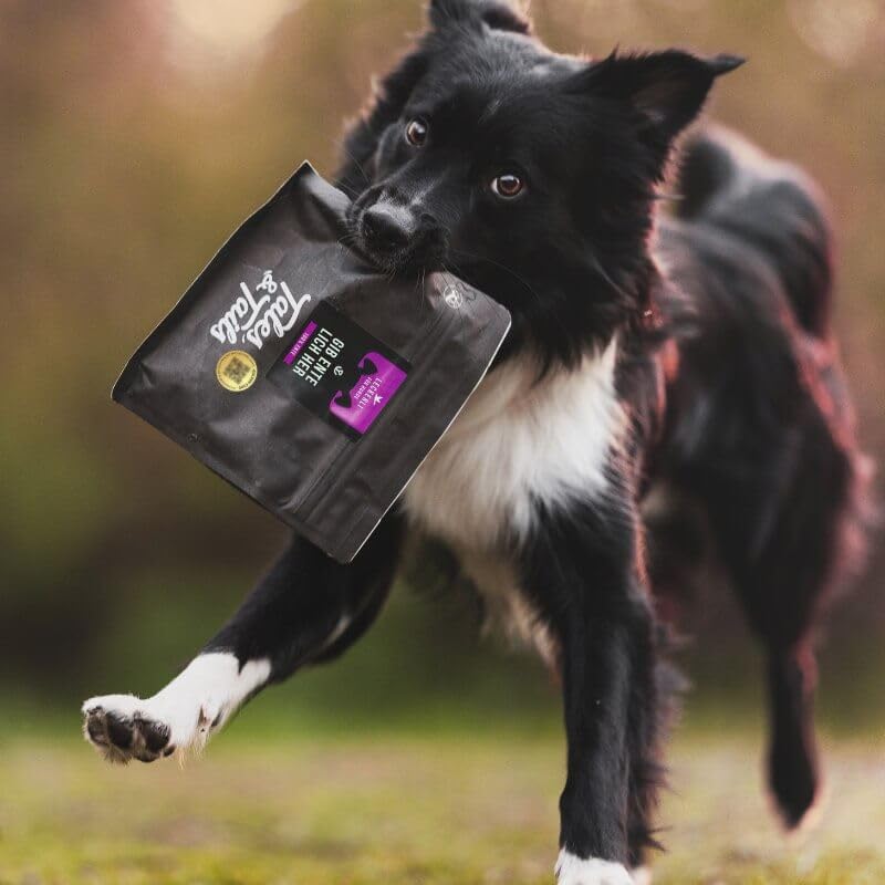 Tales & Tails Leckerli für Hunde, 100% Ente, 250g Tüte