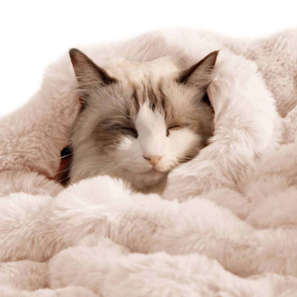 SOMAHE Cat Blanket, Reversible Sherpa & Bubble Fleece Pet Throw, Ultra-Soft Plush for Indoor Cats, Machine Washable, Anti-Static, Warm & Cozy, 22"×18" Inch White