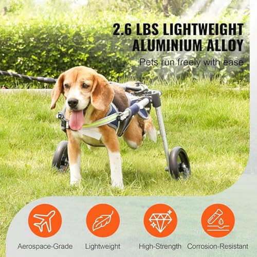 Silla de ruedas para perros pequeños: devuélvele la felicidad de correr 3