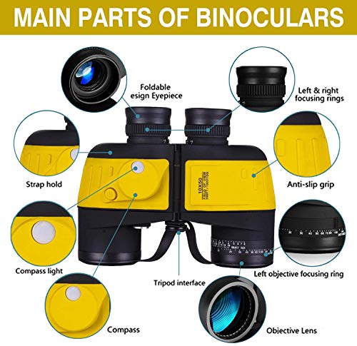 Davitu Cables, Adapters & Sockets - 1sets blue 8-pin car connector LED taillights harness modified plug 1K8 972 928 B1K8 972 718 B - (Color Name: Black)