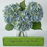 YalzoneMet