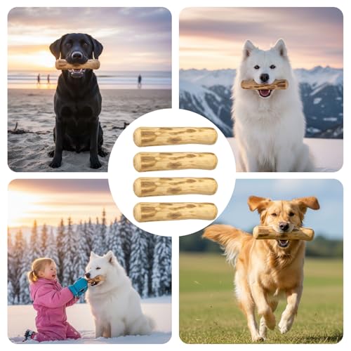 JcvPot Kaffeeholz Für Hunde, 4 Stück Kauholz Für Welpen, XXS Hundespielzeug Zur Zahnpflege, Natürliches Kauspielzeug Für Kleine Hunde, Länge 14 cm, Durchmesser 1,8-2 cm