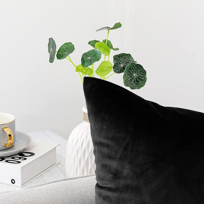 Image of 5 Piece Velvet Cushion Cover, Black, 12x12 inch | Soft Solid Decorative Throw Square Pillow Cases Modern Luxury Home Decor for Couch Sofa Bedroom Livingroom