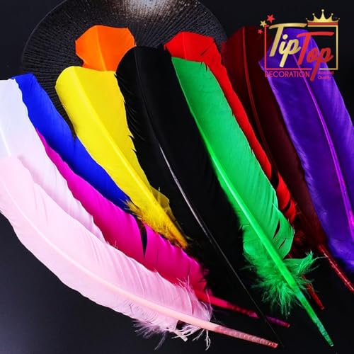 Image of Natural Dyed Goose Quills 12-14 Inch (5 Pieces) (Bubblegum Pink)