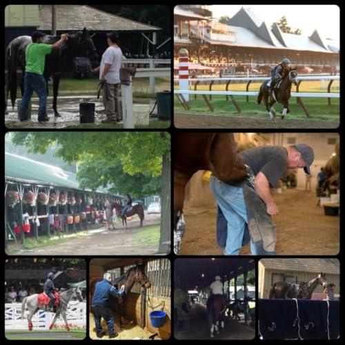 『The Real Players Inside The Backstretch』のカバーアート