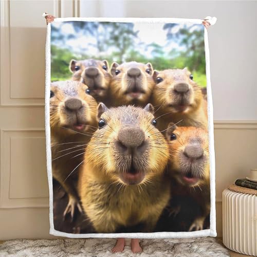 Couverture capybara cadeau original plaid douillet dessin animé enfant