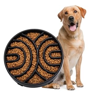 WHIPPY Slow Feeder Maze Dog Bowl – Anti-Choking, Anti-Slip Interactive Puzzle Feeder for Large Dogs, Black