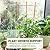 Avalution 10 Pack Bamboo Trellis for Climbing Plants 16" Natural Garden Ladder Trellis, Fan -Shaped Plant Support Trellis for Potted Plant Decor