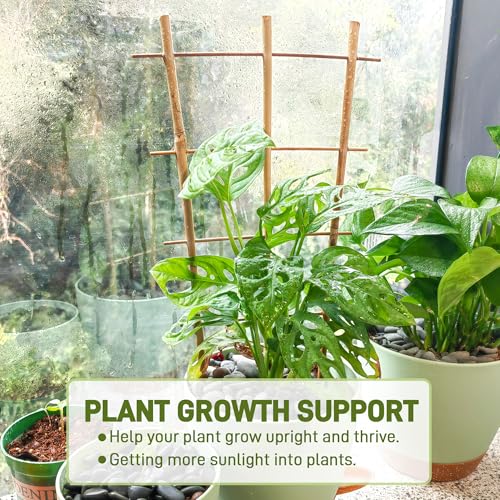 image for Avalution 10 Pack Bamboo Trellis for Climbing Plants 16