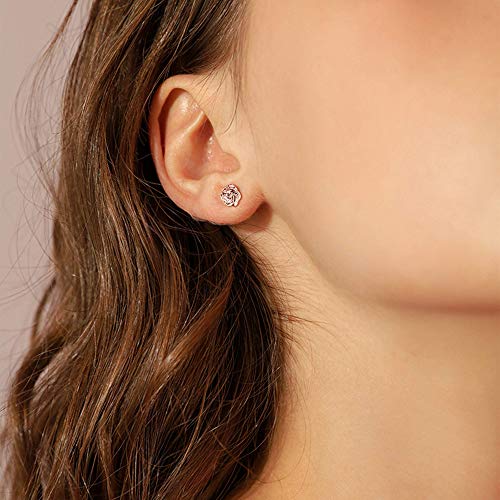 Subiceto 12 Pairs Stainless Steel Barbell Earring For Men Women Cartilage Helix Ear Piercings Tragus Ball Studs Rose Gold-Tone #TOP2