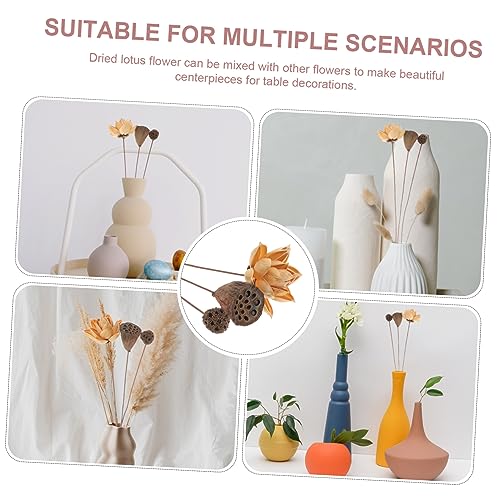 Tallos de loto secos decorativos naturales miniatura 4