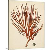 CANVAS ON DEMAND Antique Red Coral IV Canvas Wall Art Print by Vision Studio, Coastal, Home Decor, Coral, Wildlife Artwork, 16'x20'