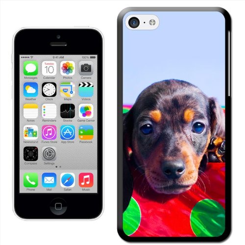 Fancy a Snuggle 'Cane Bassotto Peering out of a