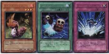 2022春の新作 遊戯王 英語 ウォーム・ワーム ワーム・ベイト