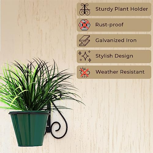 TrustBasket Rainbow Wall Mounting Planters with Stands (Set of 6) -Wall Hanging Pot Stand,Indoor/Outdoor Use,Home Decor/Garden Decor,Balcony Hanging,Office use with Multi-Color Pots