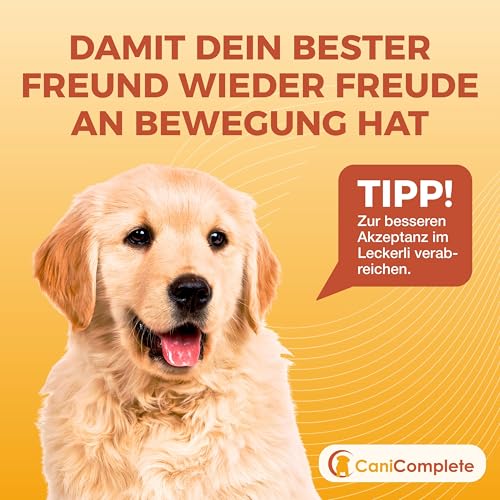 CaniComplete Gelenk Plus - Gelenktabletten für Hunde: Teufelskralle, MSM, Chondroitin, Glucosamin, Kollagen, Vitamin B, UVM.