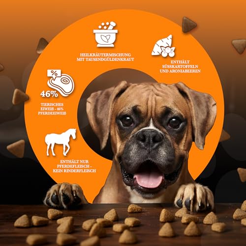 Wildborn Wild Mustang 2 kg Hundefutter – getreidefreies Trockenfutter für Hunde mit Süßkartoffel & Aroniabeeren – ideal für Allergiker, hypoallergen, empfohlen von Tier-Heilpraktikern