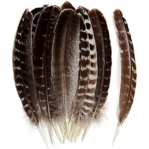 THARAHT 24pcs Natural Wild Turkey Wing Feathers Quill Bulk 10-12inch 25-30cm for DIY Crafts Project Collection Wedding Decoration Wild Turkey Tails Feather Cover