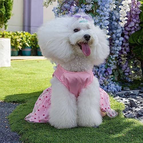 Image of CuteBone Dog Dress Birthday Girl Puppy Princess Clothes Costume Cat Apparel Small Dogs Pet Outfit DD20XXS