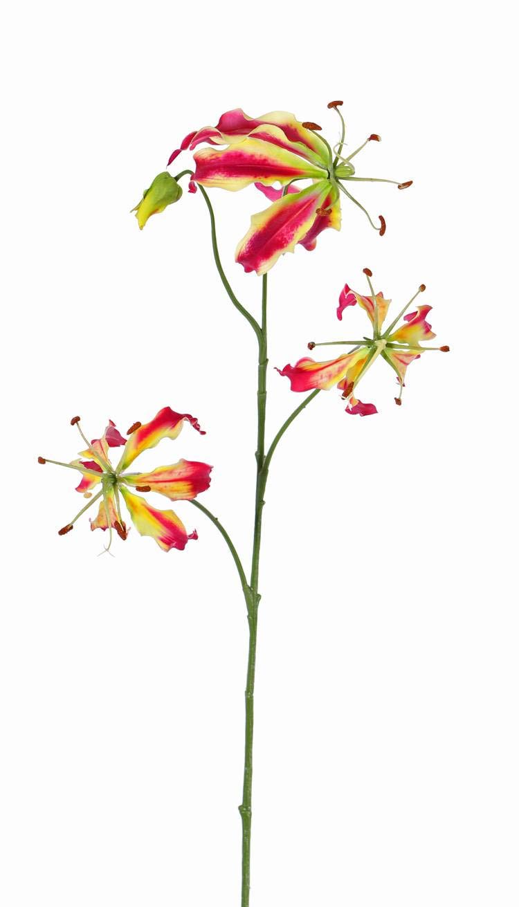 artplants.de False gloriosa TIANA, pink-green, 31"/80cm, Ø3.1"-6"/8-15cm - Fake flowers/Artificial gloriosa