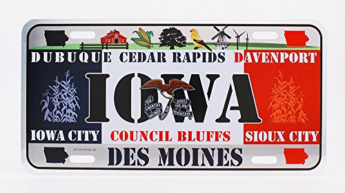 Dimension 9 Home Decorative Plate, Lowa