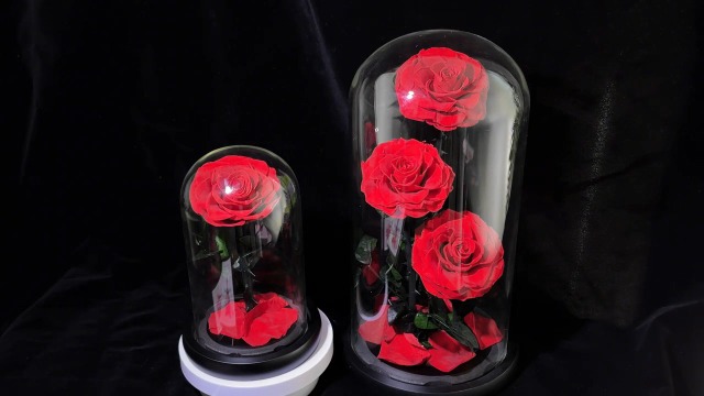 Cadeau Rose Eternelle Sous Cloche, Rose Fleur Artificielle Avec Lumières, Idée Cadeau Pour Noel, Maman, Mamie, Couple, So - Maison