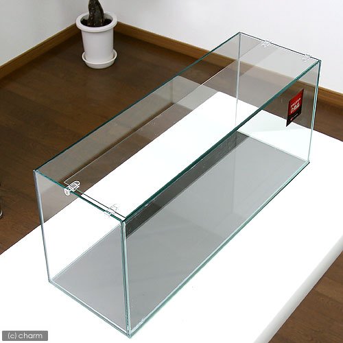 Amazon | GEX AQUARIUM グラステリアスリム600水槽 フレームレス水槽