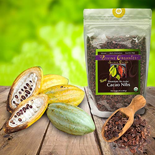 Divine Organics Raw Cacao / Cocoa Nibs - Certified Organic - Premium Rio Arriba - Smoothies, Baking, Snacks, Salads, Trail Mixes - Chocolate Chips Substitute - Rich In Magnesium (16Oz) #TOP1