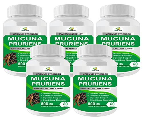Image of Mucuna Pruriens Extract Capsules, 800mg, 300 Count | L-Dopa, Digestion Support, Immune Booster, Vegetarian, Herbal Supplement