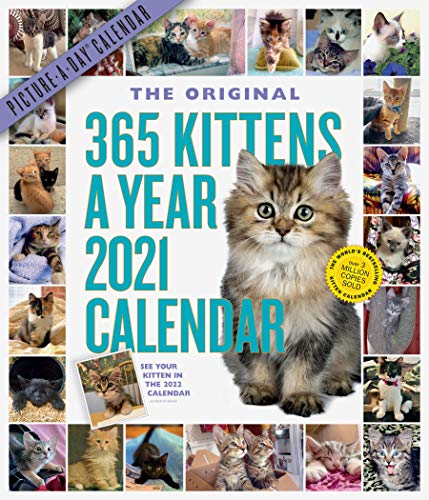 Télécharger The Original 365 Kittens A Year Picture-a-Day 2021 Calendar Gratuit