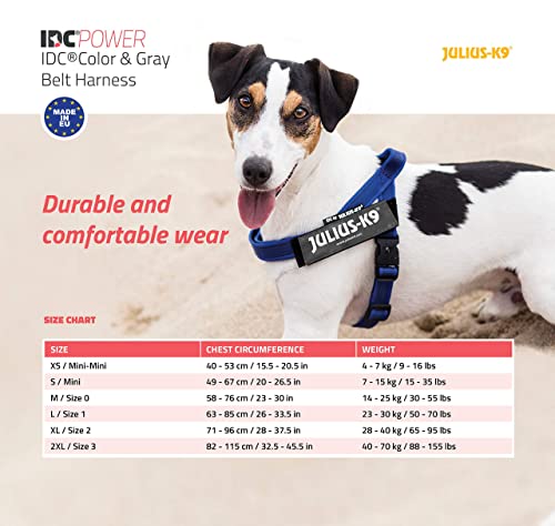 Julius-K9, IDC® Color & Gray® Beltgeschirr