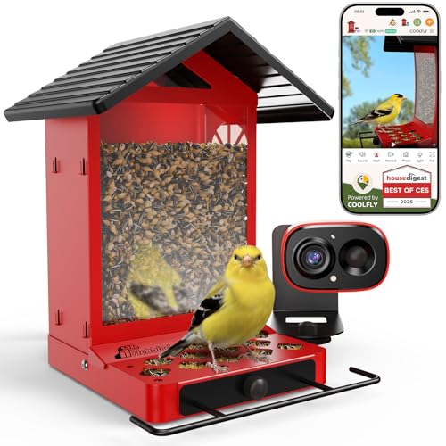 Richbird Smart Bird Feeder Camera with Vivid 2.5K Color Night Vision Free AI Bird Identifier Durable Squirrel-Resistant Metal Body Solar Powered Outdoor Gift for Mom Dad Birds Lovers