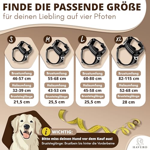 HAVERO Hundegeschirr Easy-On-Clip – [Kein Überkopfziehen] | Anti-Zug Y-Geschirr Gepolstert Reflektierend Atmungsaktiv Brustgeschirr – kleine, mittelgroße & Grosse Hunde Geschirr (Schwarz, S)