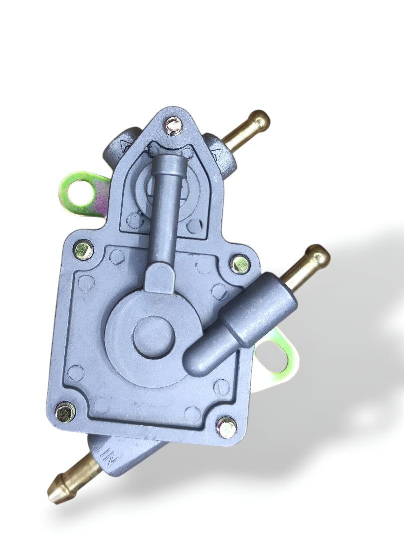 Paanjo Fuel Pump Assembly, Compatible with Mahindra Flyte, Petrol Model, Silver, Metal Construction-image-19