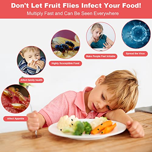 Fruit Fly Traps For Indoors,Fruit Fly Killer Catcher Gnat Trap With Yellow Sticky Pads, Effective Reusable Gnat Killer Fruit Fly Trap Comes With Fruit Fly Attractant For Home Kitchen Plant (2 Pack) #TOP1