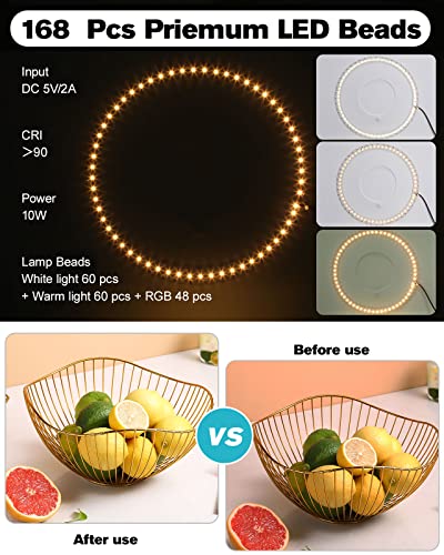 Temery Rgb Portable Photo Studio Light Box - 16" X 12" Pro Light Box Photography Dimmable Shooting Tent Kit With 168Pcs Led Lights, 12 Rgb Colors Foldable Photo Box , 4 Color Backdrops, Remote Control #TOP1