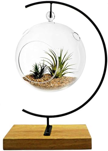 Miniatura 7 de YY YEARCHY Soporte de exhibición de adornos de metal, soporte para plantas de aire, soporte para macetas, soporte de hierro para colgar bolas de