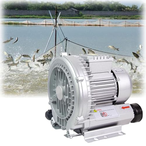 Souffleur régéné à anneau vortex pour aérateur de bassin à poissons