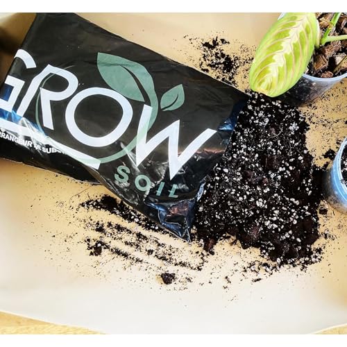 Grow Soil, Mix pour aroides, terreau sans Tourbe pour Plantes d'intérieur Type Monstera, calatea et Autres aroides. Drainant et Parfait en Croissance de Racines. Sac de 4L Facile a Ranger Grow Soil, Mix pour aroides, terreau sans Tourbe pour Plantes d'intérieur Type Monstera, calatea et Autres aroides. Drainant et Parfait en Croissance de Racines. Sac de 4L Facile a Ranger