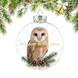 Natuurvogels Kristallen Glazen Ornamentenset, Vogelglazen Kerstboomornamenten, Kolibrie Hanger Decoratie, Doorzichtige Kerstballen, Vakantieornamenten Voor Familie