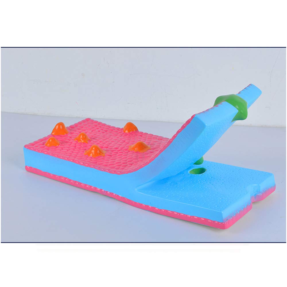 Modele medyczne mozaiki z membraną komórkową,Modele medyczne membrany komórkowej badanie zasoby anatomia Modele medyczne,materiał PVC biologiczny Modele medyczne nauczania,do prezentacji nauczania
