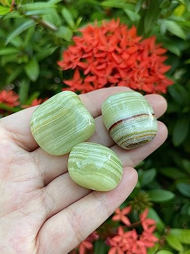 Image of GAF TREASURES 1 /2 LB Green Onyx Tumbled Stones, Polished Green Onyx Gemstone, Green Onyx Healing Crystals (Green Onyx)