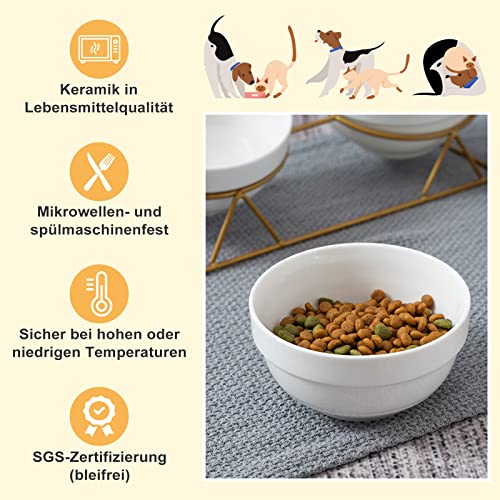 Ciotola per gatti, inclinabile a 15°, doppia