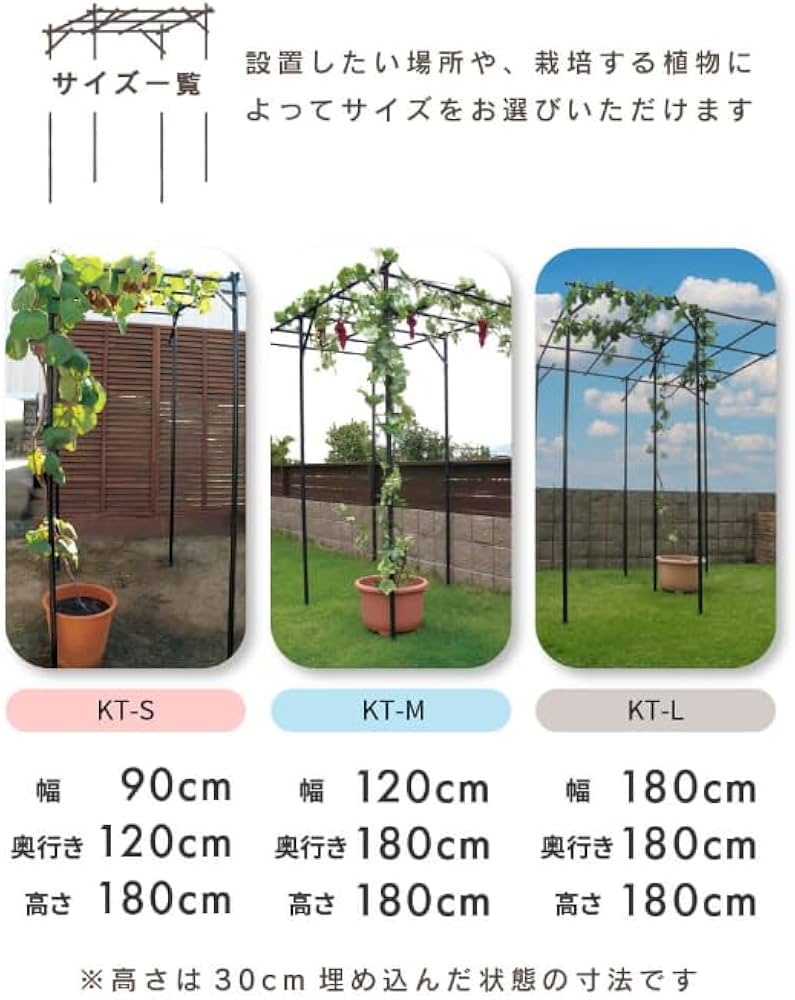 Amazon | くだもの棚セット キウイ棚 ぶどう棚 頑丈 葡萄棚 園芸棚
