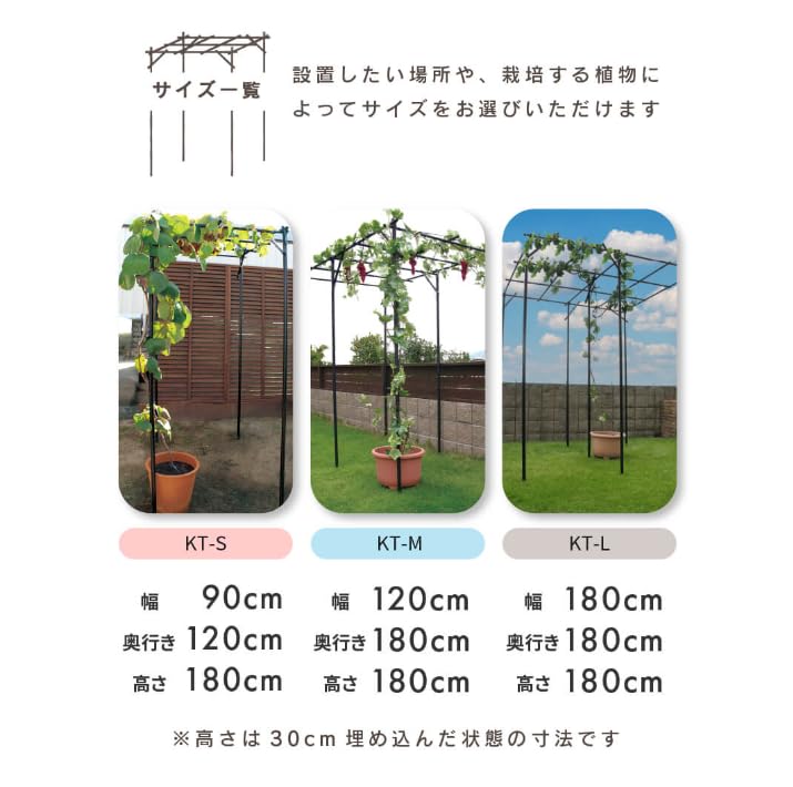 【はまゆう‼️】【美品❣️】くだもの棚セット 葡萄棚　藤棚　キウイ棚 はまゆう様専用‼️】【美品❣️】くだもの棚セット 葡萄棚 藤棚