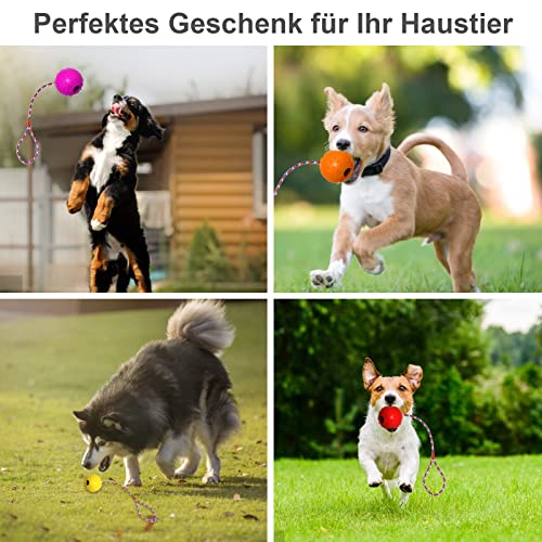 prota Wurfball Hund, 4 Stück Ball mit Seil Naturkautschuk Ball für Hunde Hundespielzeug Ball Hundeball Weich und Elastisch Vollgummiball für Große & Kleine Hunde Werfen Zufällige Farbe