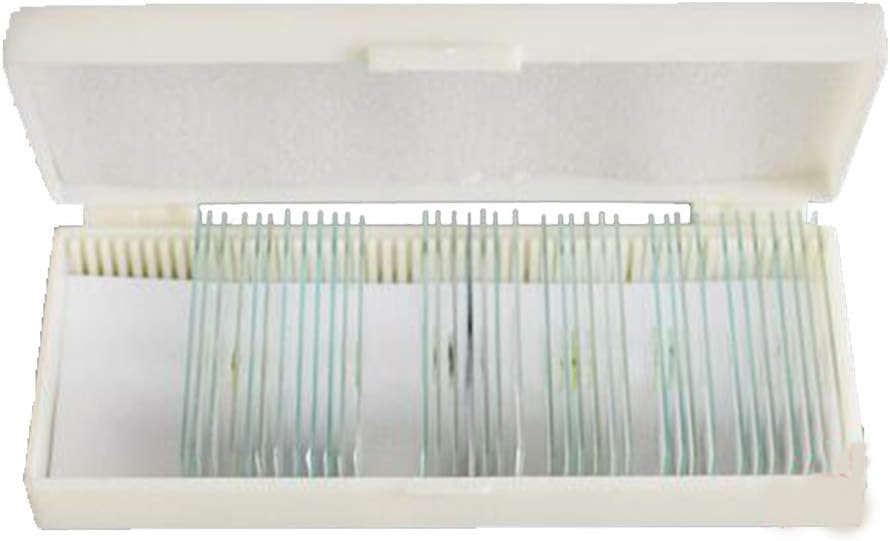 BIUYYY 42 Pcs Parasitology Microscope Slides, Microscope Slide Specimen for Biology Science Study